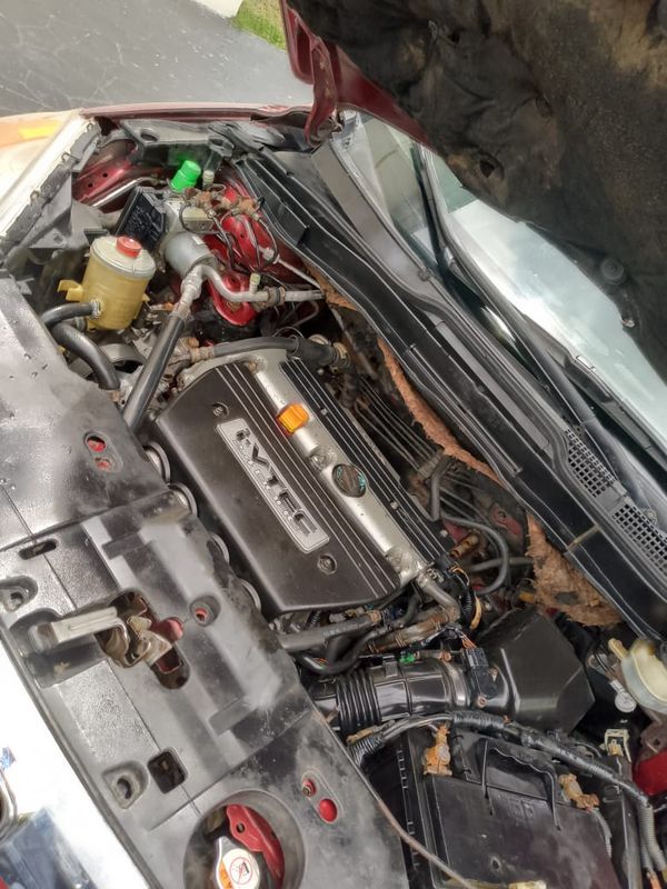 Thumbnail 3 of 2008 Honda CR-V